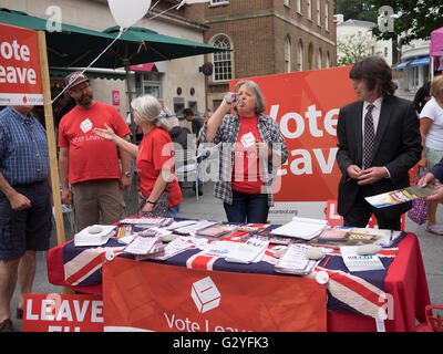 Exeter High St UK 4 giugno 2016 rivale referendum gli attivisti woo sabato shoppers brexit Credito: Anthony Collins/Alamy Live News Foto Stock