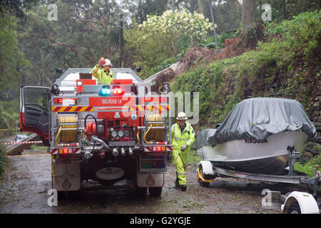 Sydney, Australia. 05 Giugno, 2016. Sydney e il resto del NSW continua a essere allacciato con pioggia intensa e venti forti, lasciando molte case inondate,senza potere e la caduta di alberi in tutta Sydney. Credit: modello10/Alamy Live News Foto Stock