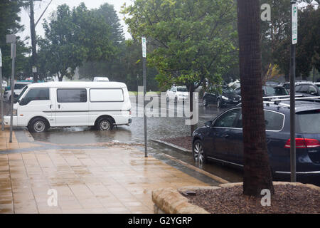 Sydney, Australia. 05 Giugno, 2016. Sydney e il resto del NSW continua a essere allacciato con pioggia intensa e venti forti, lasciando molte case inondate,senza potere e la caduta di alberi in tutta Sydney. Credit: modello10/Alamy Live News Foto Stock