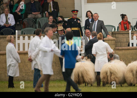 Shepton Mallet, UK. Il 4 giugno, 2016. Nel pomeriggio finale del bagno e West Show 2016. James Thomas/Alamy Live News Foto Stock