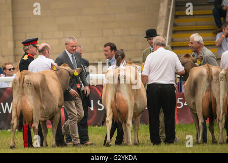 Shepton Mallet, UK. Il 4 giugno, 2016. Nel pomeriggio finale del bagno e West Show 2016. James Thomas/Alamy Live News Foto Stock