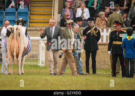 Shepton Mallet, UK. Il 4 giugno, 2016. Nel pomeriggio finale del bagno e West Show 2016. James Thomas/Alamy Live News Foto Stock