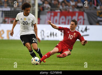 La Germania Leroy sane (top) in azione nei confronti dell'Ungheria Zoltan Gera durante le partite internazionali di calcio amichevole tra Germania e Ungheria alla Veltins Arena di Gelsenkirchen, Germania, 04 giugno 2016. Foto: ARNE DEDERT/dpa Foto Stock