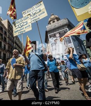 Barcellona, in Catalogna, Spagna. 5 Giugno, 2016. Migliaia di marzo con i loro cartelli e bandiere attraverso Barcellona per protestare contro gli Spagnoli piano di gestione del bacino idrografico per l'Ebro e le conseguenze che può avere per il delta del fiume Ebro e l'ambiente globale e per l'indipendenza della Catalogna dalla Spagna. Credito: Matthias Oesterle/ZUMA filo/Alamy Live News Foto Stock