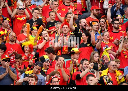 Bruxelles, Belgio. 05 Giugno, 2016. Calcio internazionale amichevole. Belgio contro la Norvegia. Sostenitori e tifosi durante la international amichevole tra Belgio e Norvegia prima della UEFA campionato europeo EURO 2016 in Francia . Il Belgio è venuto da dietro per vincere la partita 3-2 Credito: Azione Sport Plus/Alamy Live News Foto Stock