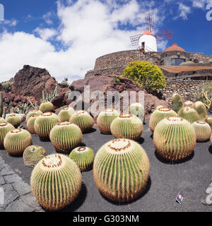 Il Giardino dei Cactus Jardin de Cactus da Cesar Manrique, Guatiza, Lanzarote, Isole Canarie, Spagna Foto Stock