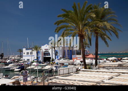 Palme alla marina, Marbella, Costa del Sol, Andalusia, Spagna, Europa, PublicGround Foto Stock