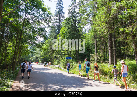 Gruppo di turisti a camminare sulla strada di Morskie Oko lago, Czarny Staw e Rysy in Alti Tatra vicino a Zakopane, Polonia Foto Stock