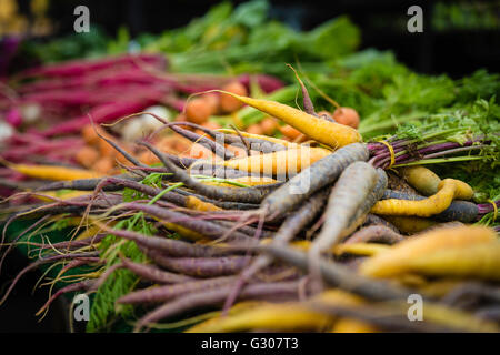 I grappoli di colorate carote al mercato degli agricoltori pronti per mangiare, cucina, frullati e più Foto Stock