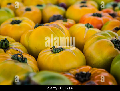 Organico giallo pomodori cimelio presso il Mercato degli Agricoltori Foto Stock