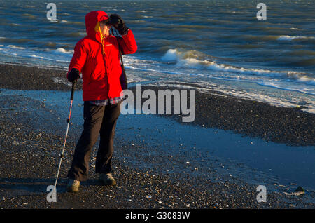 Birder sulla spiaggia, Damon Point State Park, Washington Foto Stock