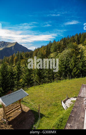 Le montagne intorno al lago Achensee Foto Stock