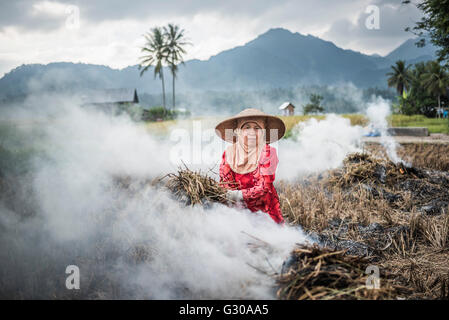 Agricoltore di colture di masterizzazione in le risaie, Bukittinggi, a ovest di Sumatra, Indonesia, Asia sud-orientale, Asia Foto Stock