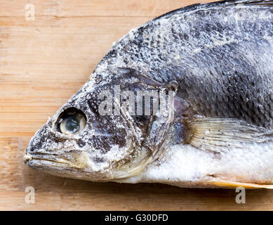 Il pesce essiccato su un colore di sfondo. Foto Stock