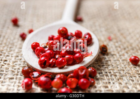 Spicy Red Pepper sul cucchiaio di legno Foto Stock