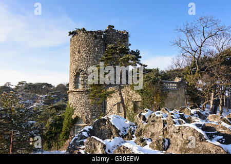 Torre Nera, Austria, Niederösterreich, Bassa Austria Wienerwald, Mödling Foto Stock