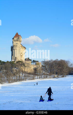 Il castello di Liechtenstein e slittino nella neve, Austria, Niederösterreich, Bassa Austria Wienerwald, Maria Enzersdorf Foto Stock