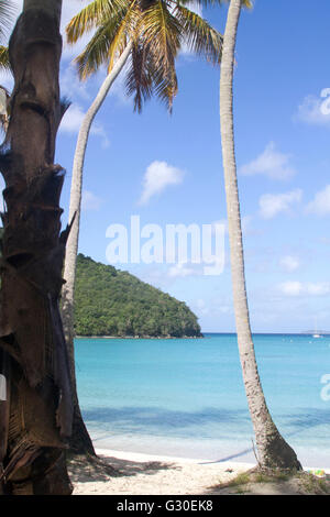 Maho Bay Beach, San Giovanni, Isole Vergini Americane Foto Stock