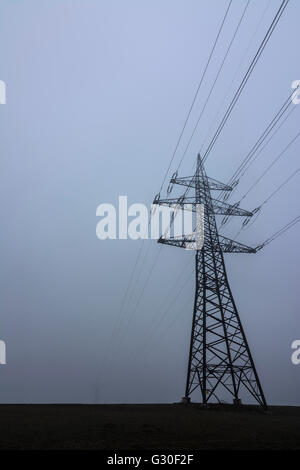 Pilone di potenza nella nebbia, Austria, Niederösterreich, Austria inferiore Donau, Petronell-Carnuntum Foto Stock