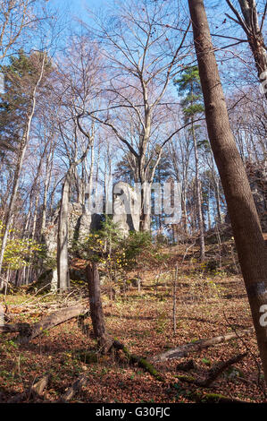 Le rocce in autunno in foresta Ojcow National Park, Polonia Foto Stock
