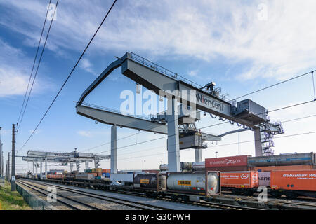 Terminale per container Vienna Freudenau di Wiencont terminale per container azienda con gru pista e contenitore in treno con i contenitori Foto Stock