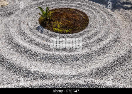 Giardino Zen a Hase-dera - Hase-dera ufficialmente denominato Kaiko-zan Jisho-in Hase-dera ma comunemente chiamato Hase Kannon. Foto Stock