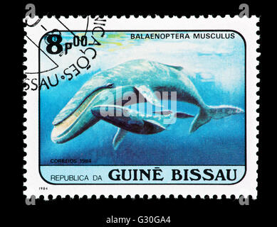 Francobollo della Guinea Bissau raffigurante una balena blu con un polpaccio (Balaenoptera musculus) Foto Stock