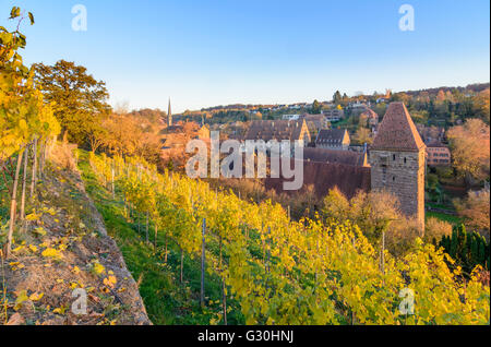 Monastero di Maulbronn e vigneto, Germania, Baden-Württemberg, Kraichgau-Stromberg, Maulbronn Foto Stock