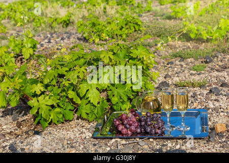 Vino e uve mature su un vassoio in vigna Foto Stock