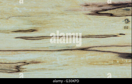 Vecchio texture - Mapple legno stabilizzato Foto Stock