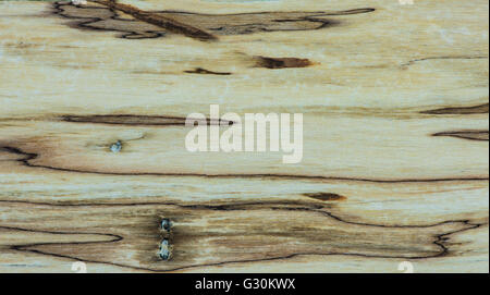 Vecchio texture - Mapple legno stabilizzato Foto Stock