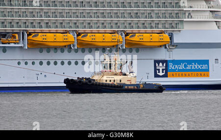 Svitzer Ferriby rimorchiatore a fianco di Royal Caribbean armonia dei mari nave da crociera, acqua di Southampton, Hampshire, Inghilterra Foto Stock