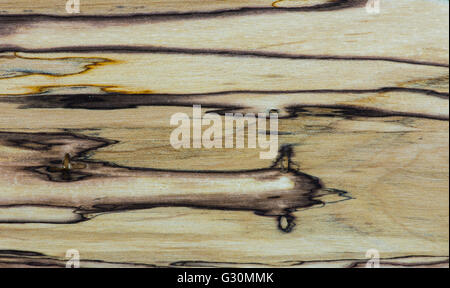 Vecchio texture - Mapple legno stabilizzato Foto Stock