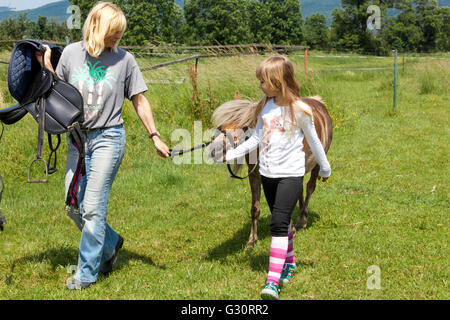 La briga del pony principale, ragazzina Shetland Pony Woman Foto Stock