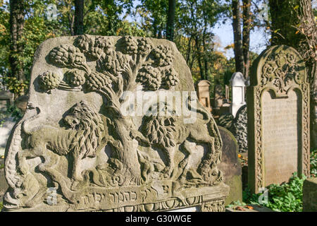 Vista del vecchio jewish cementary / Cracovia / Polonia Foto Stock