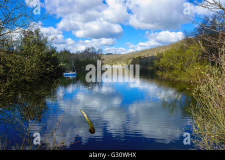 Bodenham lago nella bellissima Herefordshire UK Campagna Foto Stock