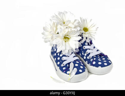 Daisy bianca bouquet in una coppia di blu e bianco polka dot sneakers isolato su bianco. Foto Stock