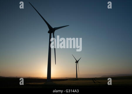 WindTurbines in un campo nr CRossgates, Fife, Scozia Foto Stock