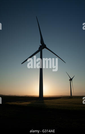 WindTurbines in un campo nr CRossgates, Fife, Scozia Foto Stock