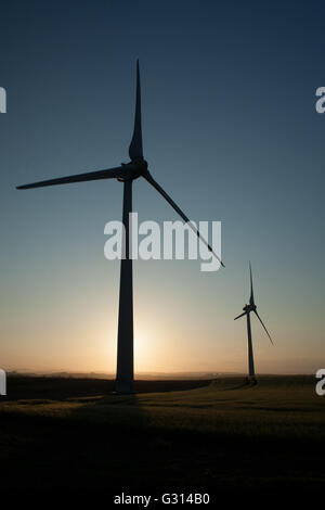 WindTurbines in un campo nr CRossgates, Fife, Scozia Foto Stock