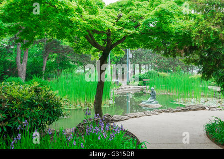 Isola di Margherita Budapest, il giardino giapponese sull isola di Margaret (Margit-sziget island) a Budapest, Ungheria. Foto Stock