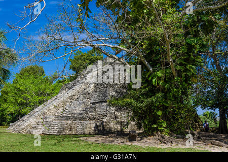 Tempio II del gruppo 1-Una delle rovine Chacchoben. Chacchoben, Messico Foto Stock