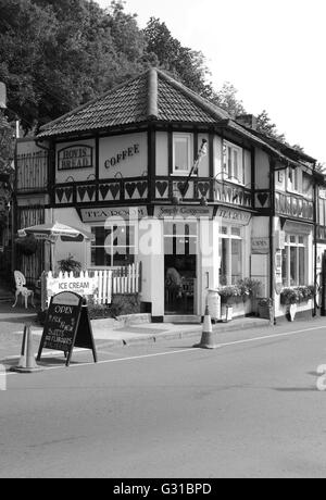 Semplicemente meraviglioso famose sale da tè in Cheddar Gorge, nel Somerset. Giugno 2016 Foto Stock