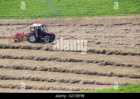 Una macchina di trebbiatura in operazione su un campo. La trebbiatrice sono utilizzati per la separazione della granella dai gambi e cartocci Foto Stock