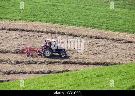 Un Trebbiatore elaborazione su un campo. Queste macchine sono utilizzate in agricoltura per la separazione della granella dai gambi e cartocci Foto Stock