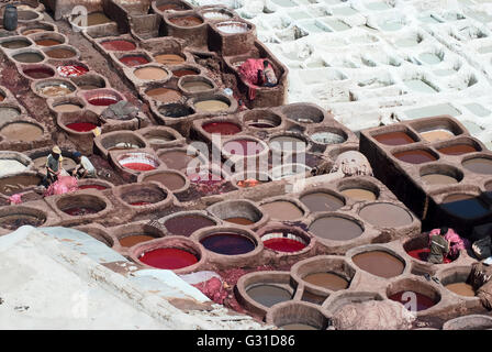 Lavoratori trattamento di pelli in concia colorate le piscine di un tradizionale in pelle di conceria, Fes , Marocco, Foto Stock