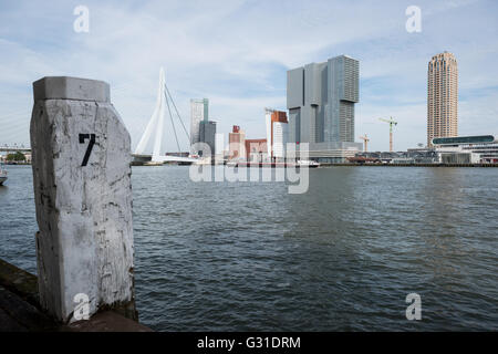 Rotterdam, Paesi Bassi, vista su Nieuwe Maas nel quartiere Kop van Zuid Foto Stock
