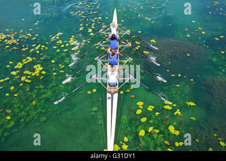 Quattro donne canottaggio sul lago tranquillo Foto Stock