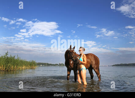 Schwerin, Germania, giovane donna con il suo cavallo nel lago Schwerin Foto Stock