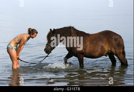 Schwerin, Germania, giovane donna sta con il suo pony nel lago Schwerin Foto Stock